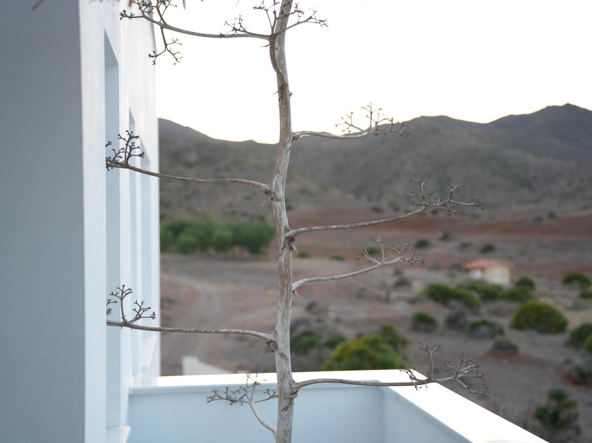 Senses Villa San José Eksteriør bilde